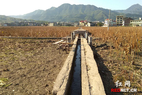 新化杨家边村 创建"美丽乡村"_区县(市)_娄底站