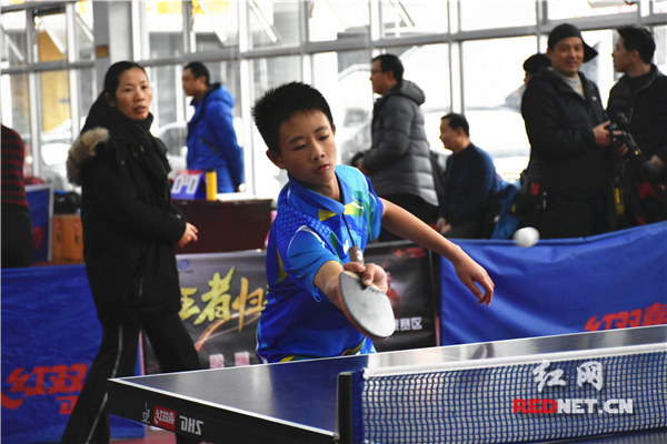 娄底举办第二届全市业余乒乓球比赛